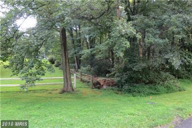 7505 Plater Lane - Photo 1