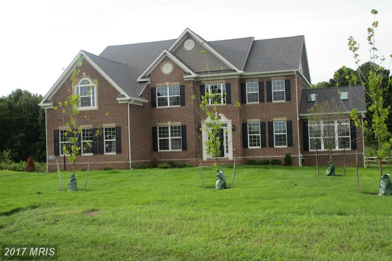 16812 Sleepy Spring Court - Photo 1