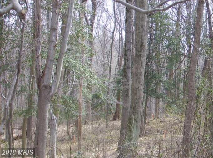 320 Farmington Road - Photo 1