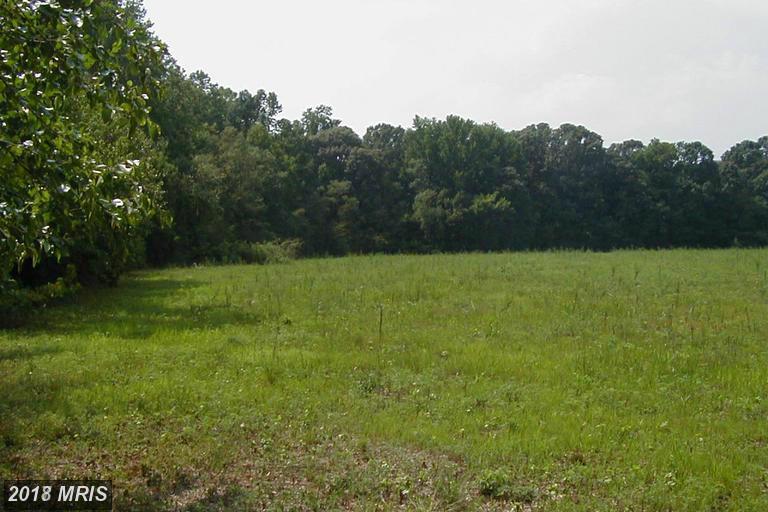 16900 Tanyard Road - Photo 1