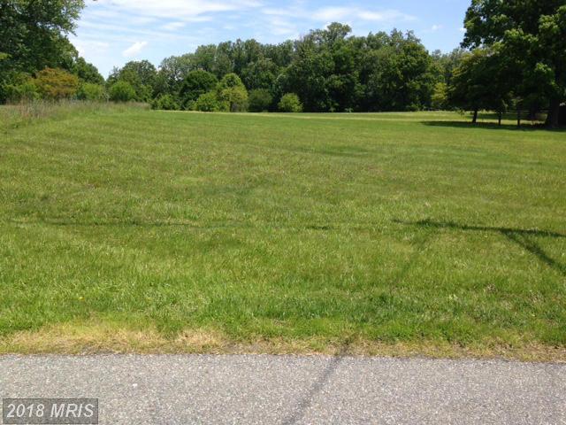16107 Dorset Lane - Photo 1