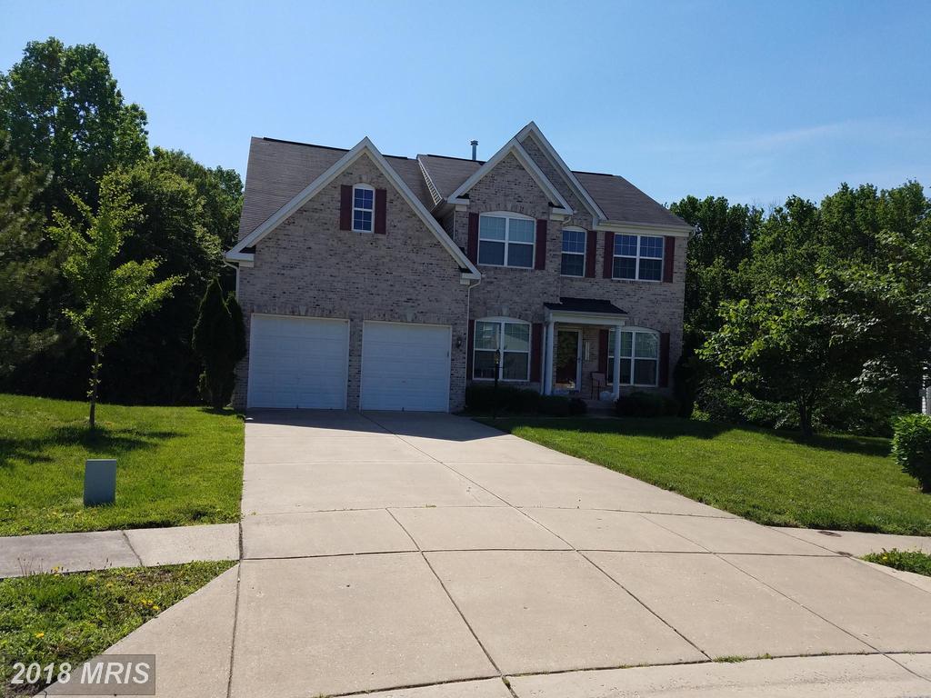11512 Gloxinia Court - Photo 1