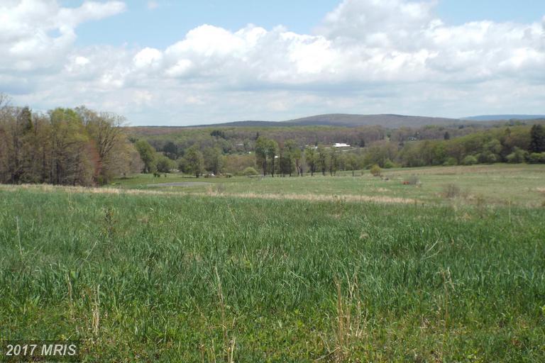 LOT 38 Hemlock Ridge Road - Photo 1