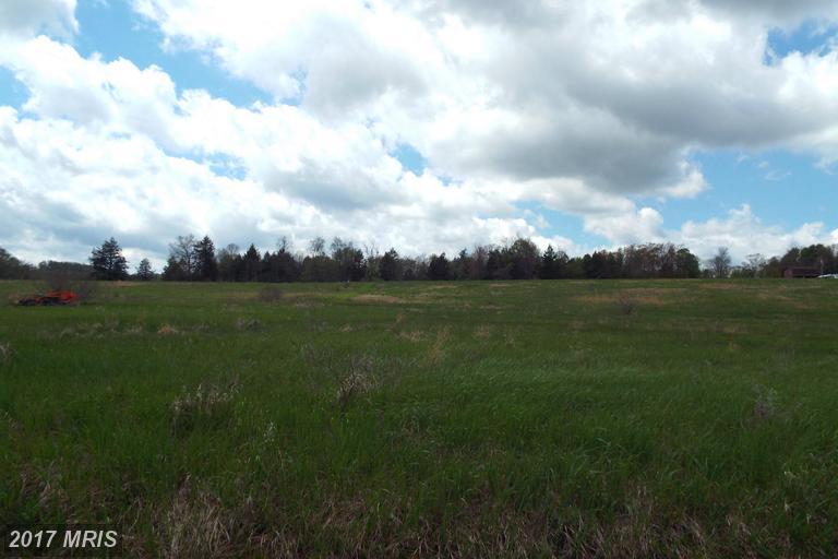 LOT 39 Mountain Laurel Way - Photo 1