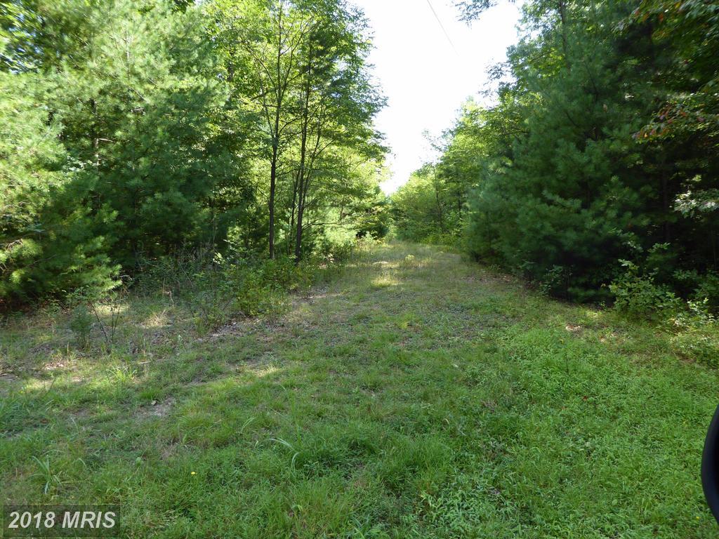 Treasure Mountain Drive - Photo 1