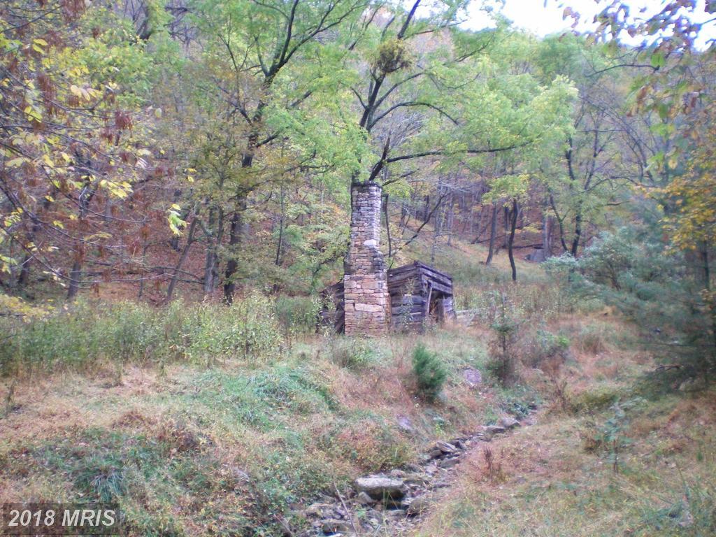 0 Dickenson Mountain - Photo 1