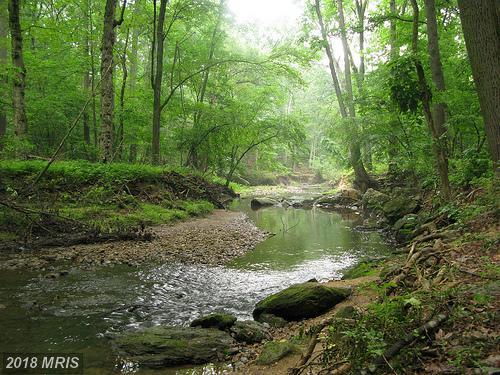 7381 Kurt Kahn Trail - Photo 1