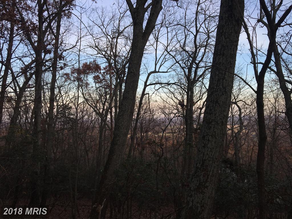 2417 Jackson Drive - Photo 1