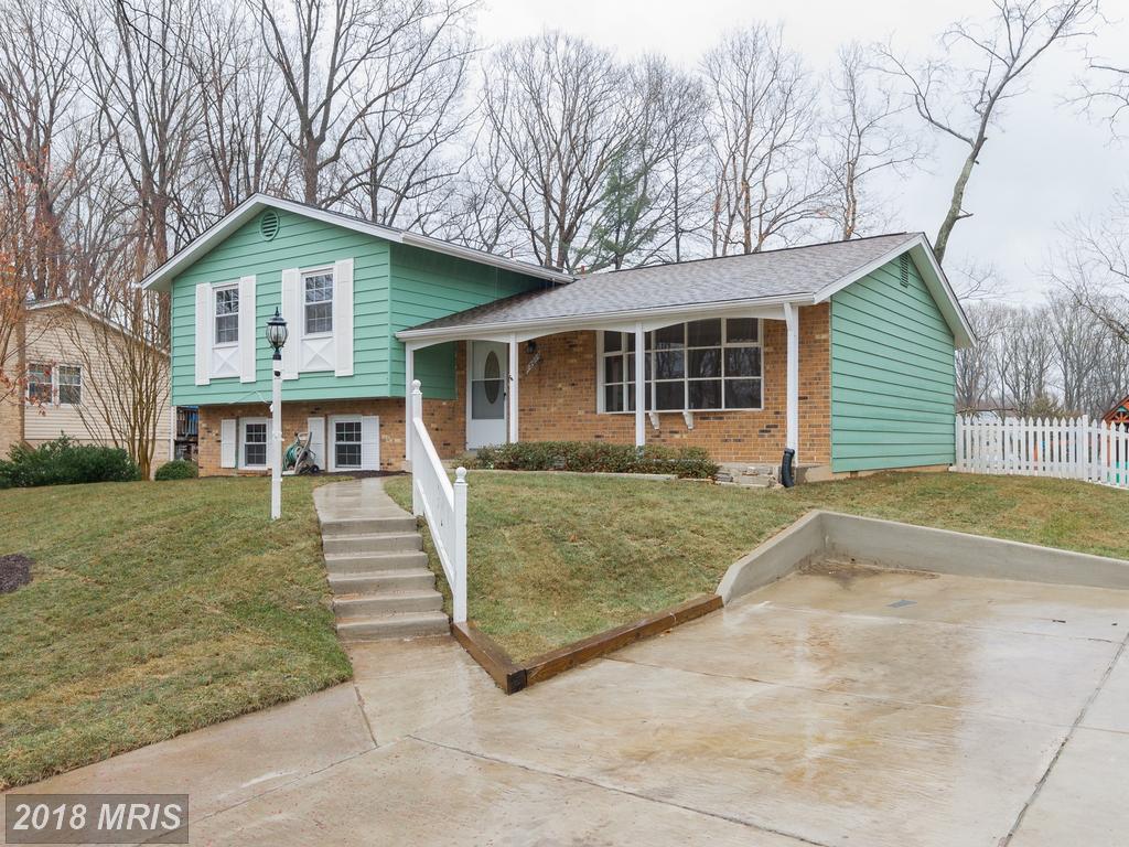 13017 Orleans Street - Photo 1
