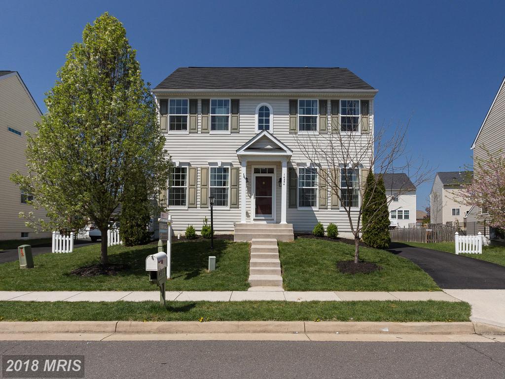 14354 Broadwinged Drive - Photo 1