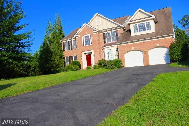 4201 Divided Sky Court - Photo 1