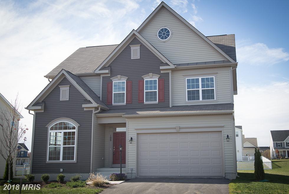 10377 Twin Leaf Drive - Photo 1