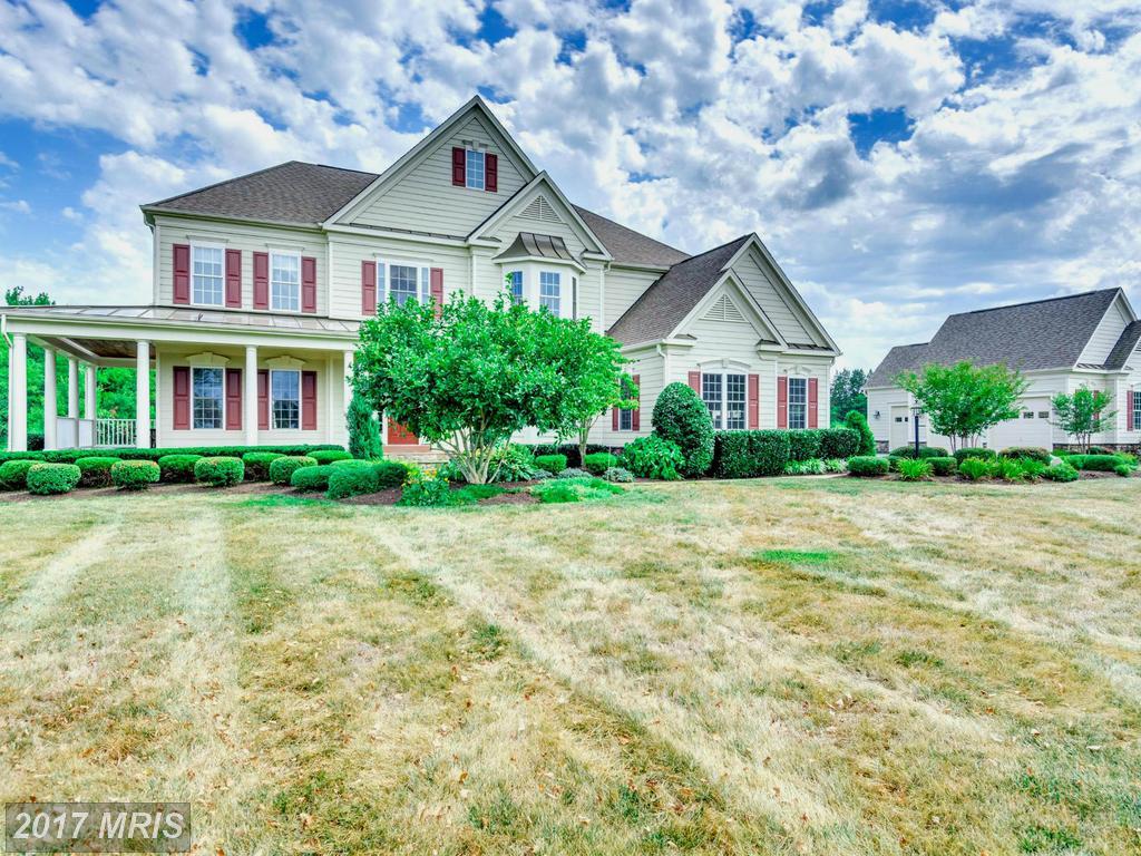 10870 Meadow Walk Lane - Photo 1