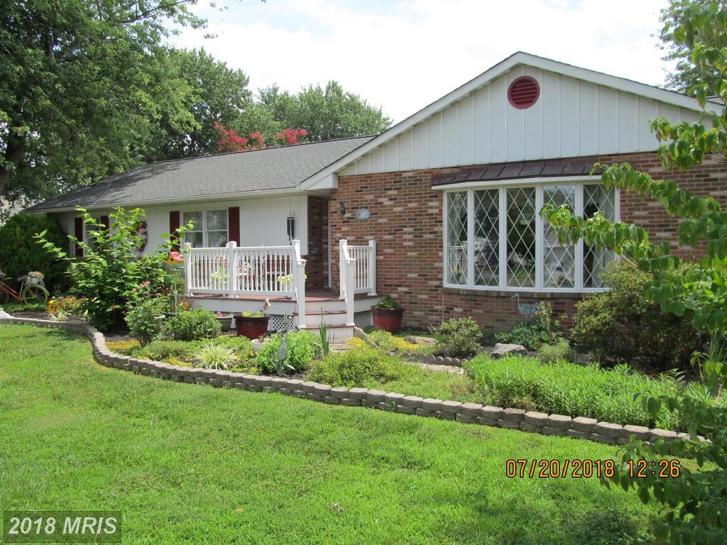 1007 Chester River Drive - Photo 1