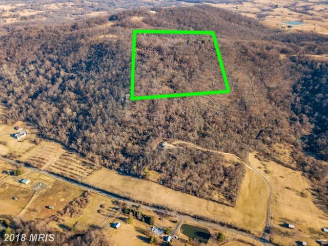 0 Fishhawk Pass Lane - Photo 1