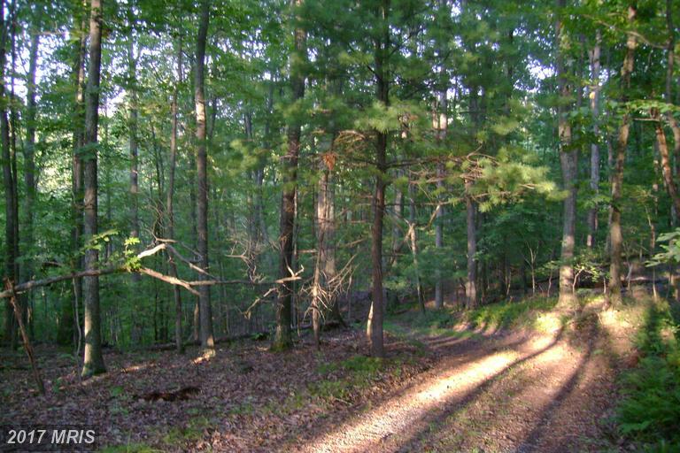 299 Whorton Hollow Road - Photo 1