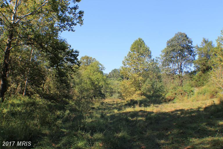 Slate Mills Road - Photo 1