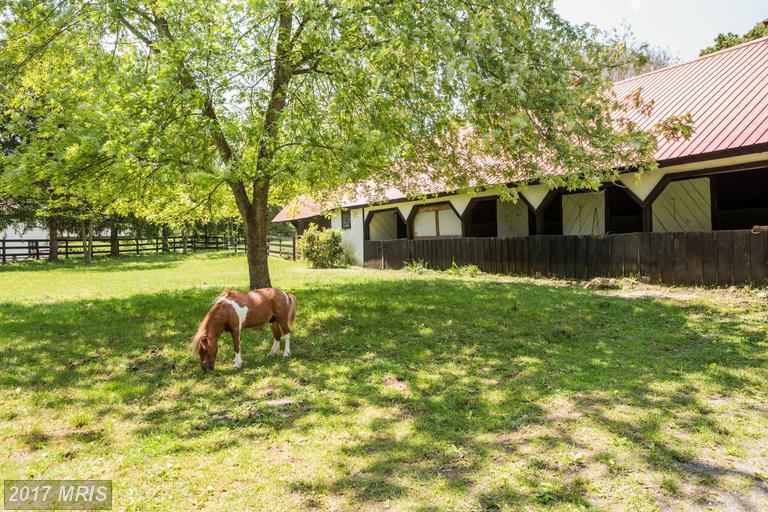 10 Old Kennels Lane - Photo 1