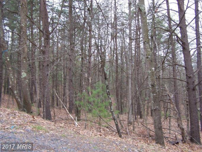 0 Beaver Road - Photo 1