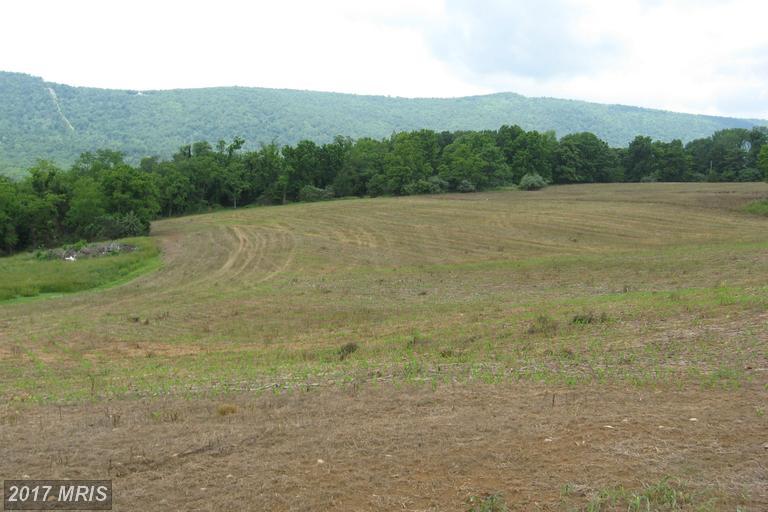 Back Road - Photo 1