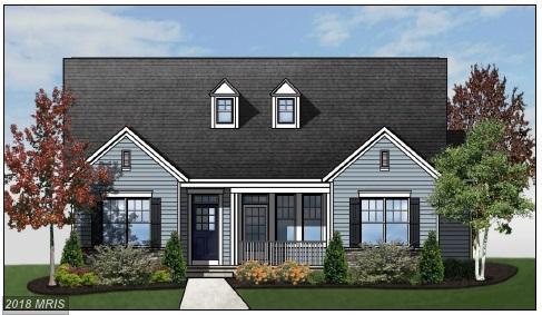 41329 Chestnut Hill Street - Photo 1