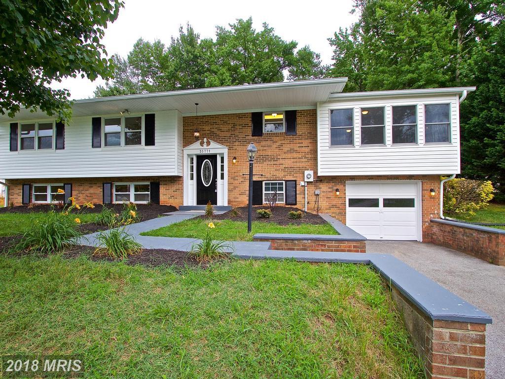 35771 Aviation Yacht Club Road - Photo 1