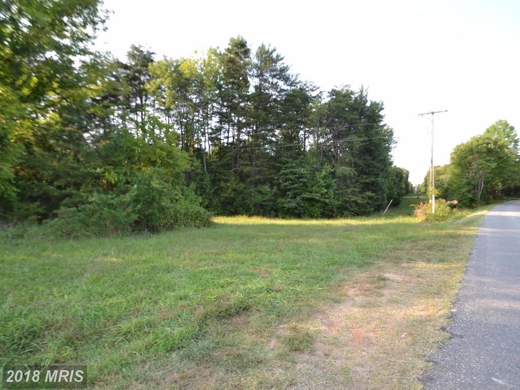 6600 Stubbs Bridge Road - Photo 1
