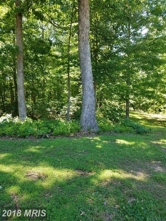 11302 Radcliff Terrace - Photo 1