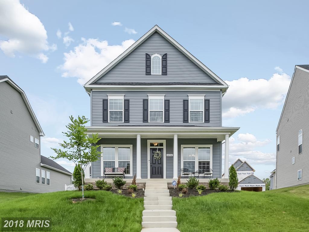 6802 Luce Lane - Photo 1