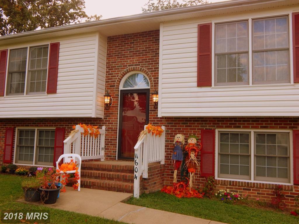 11604 Brian Drive - Photo 1