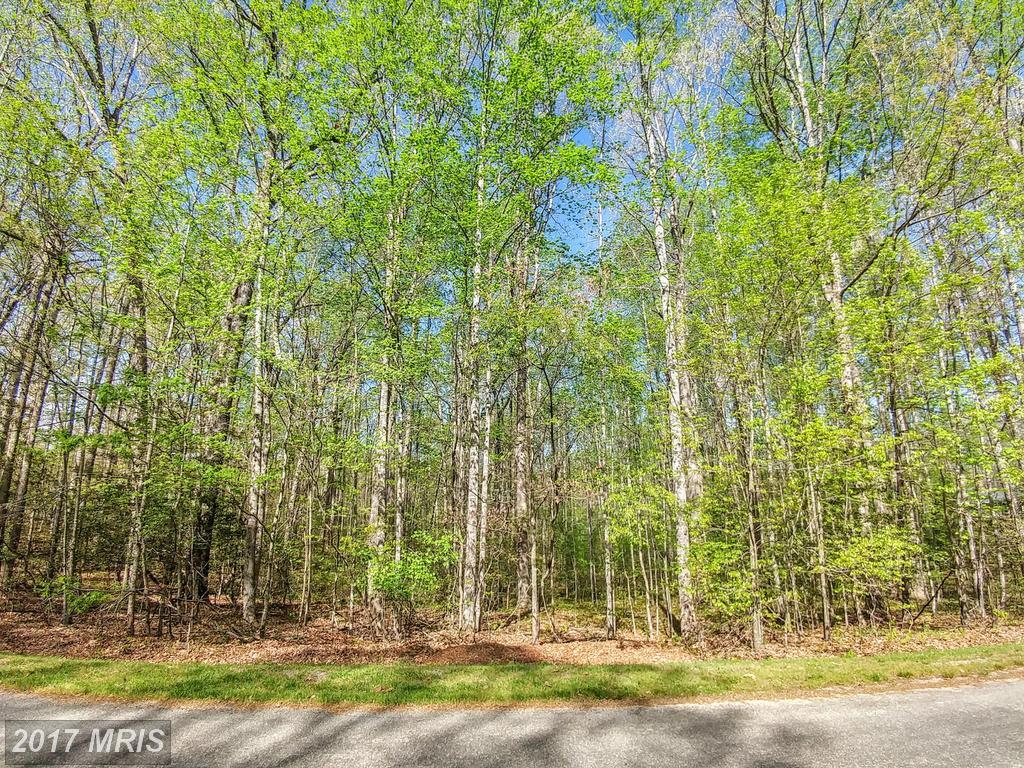 10010 Cherokee Lane - Photo 1