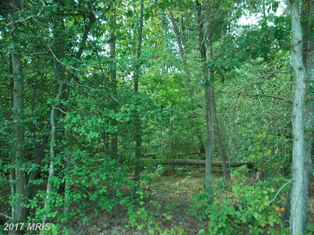 PARCEL 3 Mccarty Road - Photo 1
