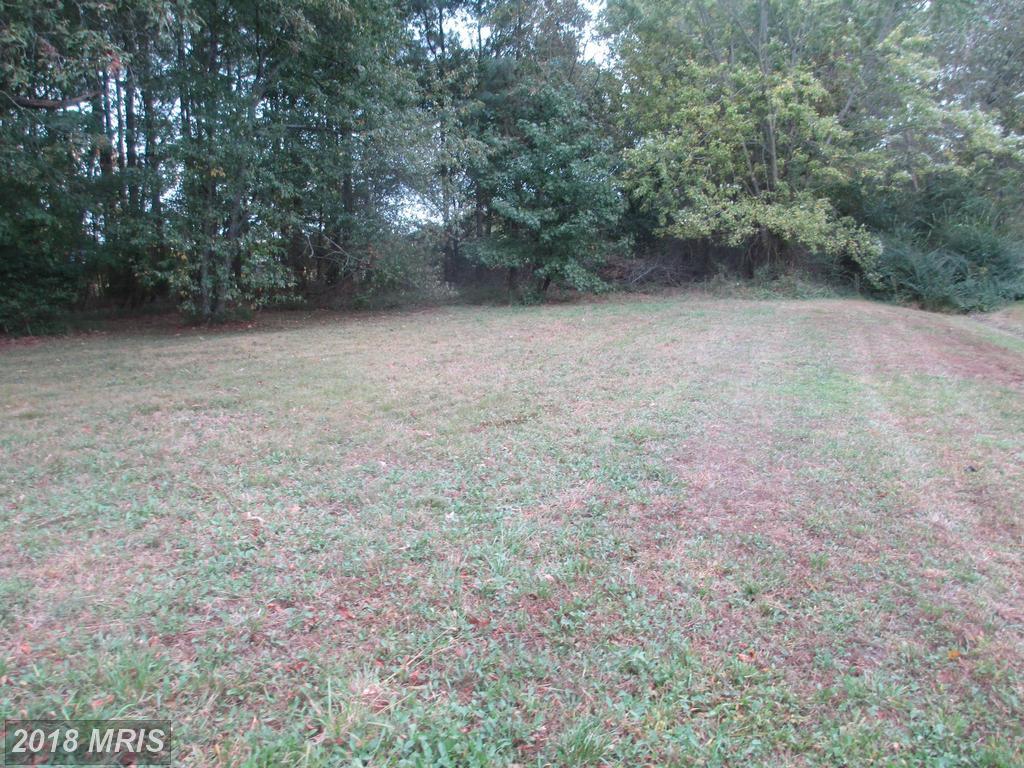 Island Creek Neck Road - Photo 1