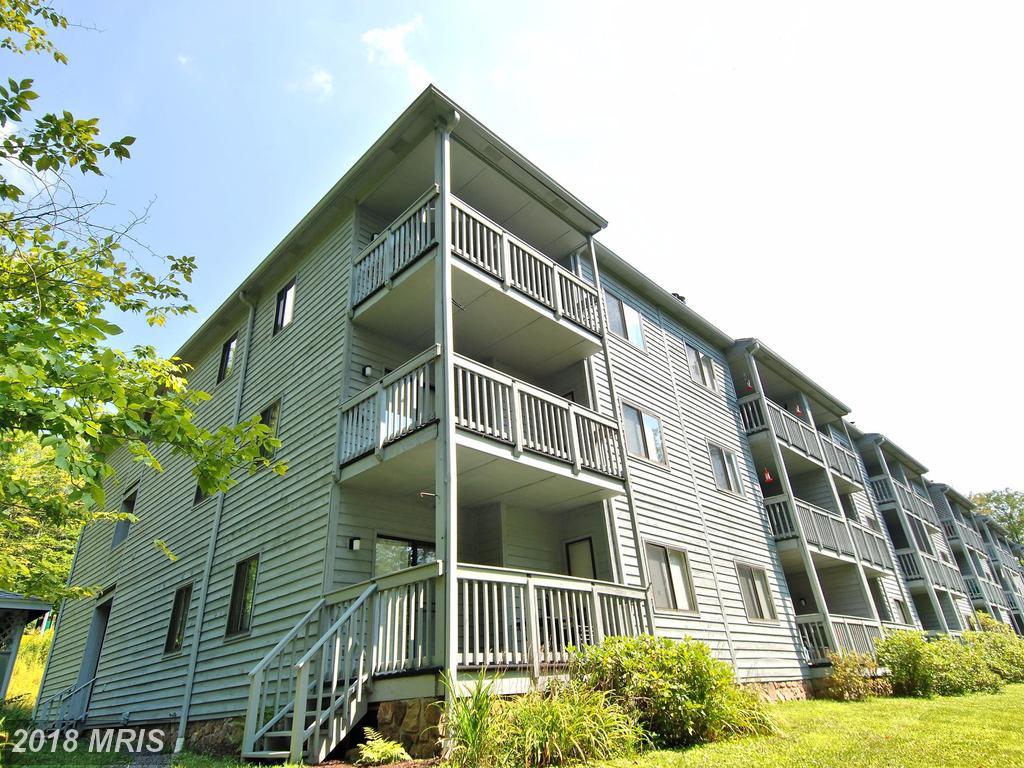 117 Ash Lodge Court - Photo 1