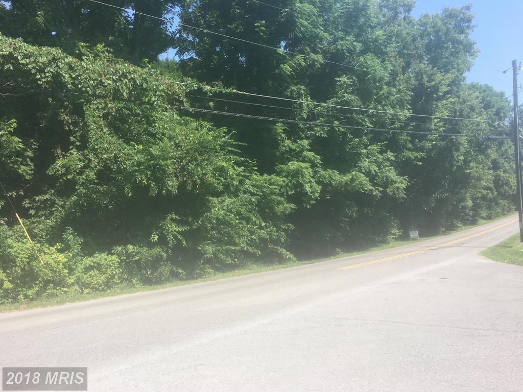 13810 Paradise Church Road - Photo 1