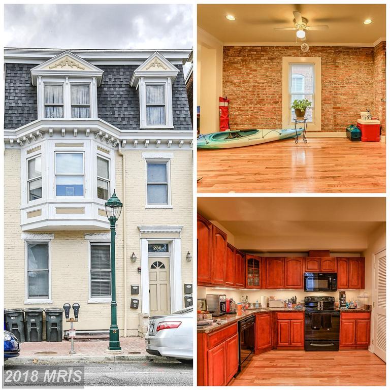 230 Potomac Street - Photo 1