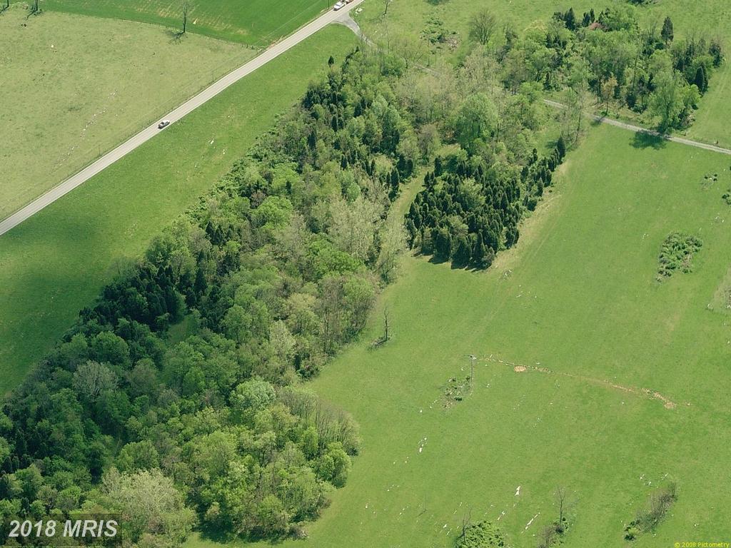 15648 Falling Waters Road - Photo 1