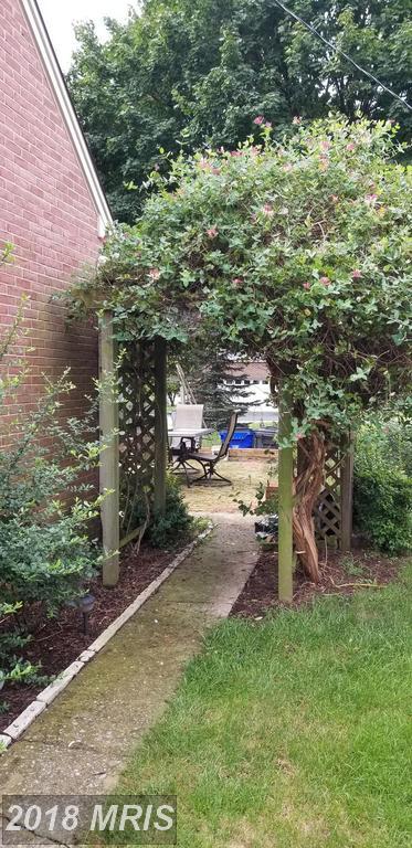 117 Calvert Terrace - Photo 1