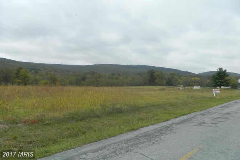 23418 Whitetail Road - Photo 1