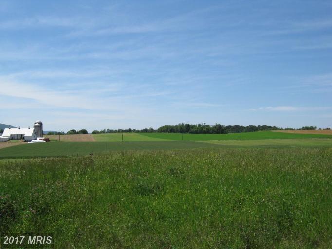 22103 Whitestone Court - Photo 1