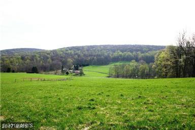 12434 Pleasant Valley Road - Photo 1