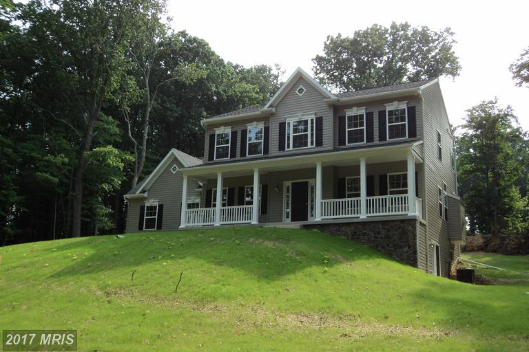 21419 National Pike - Photo 1