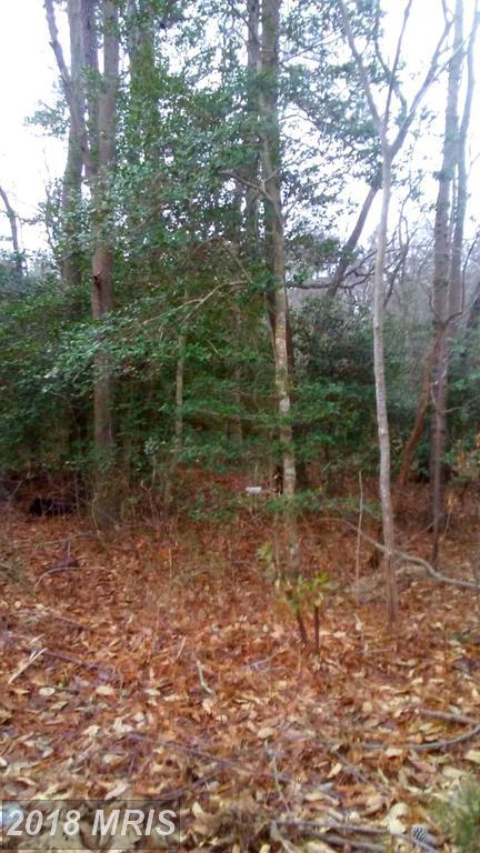 Upper Ferry Road - Photo 1
