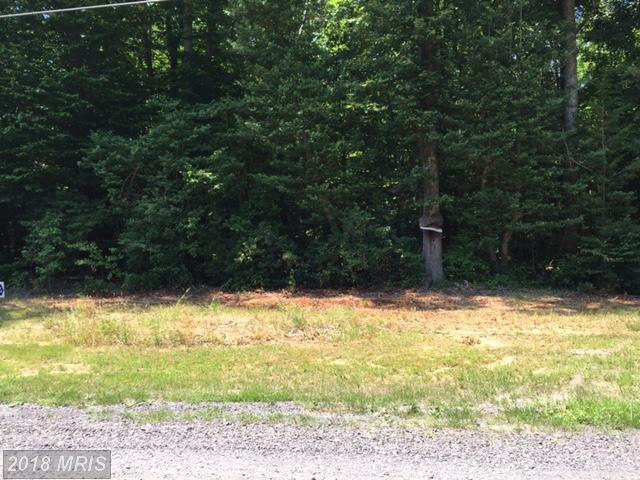 Albrough Boulevard - Photo 1