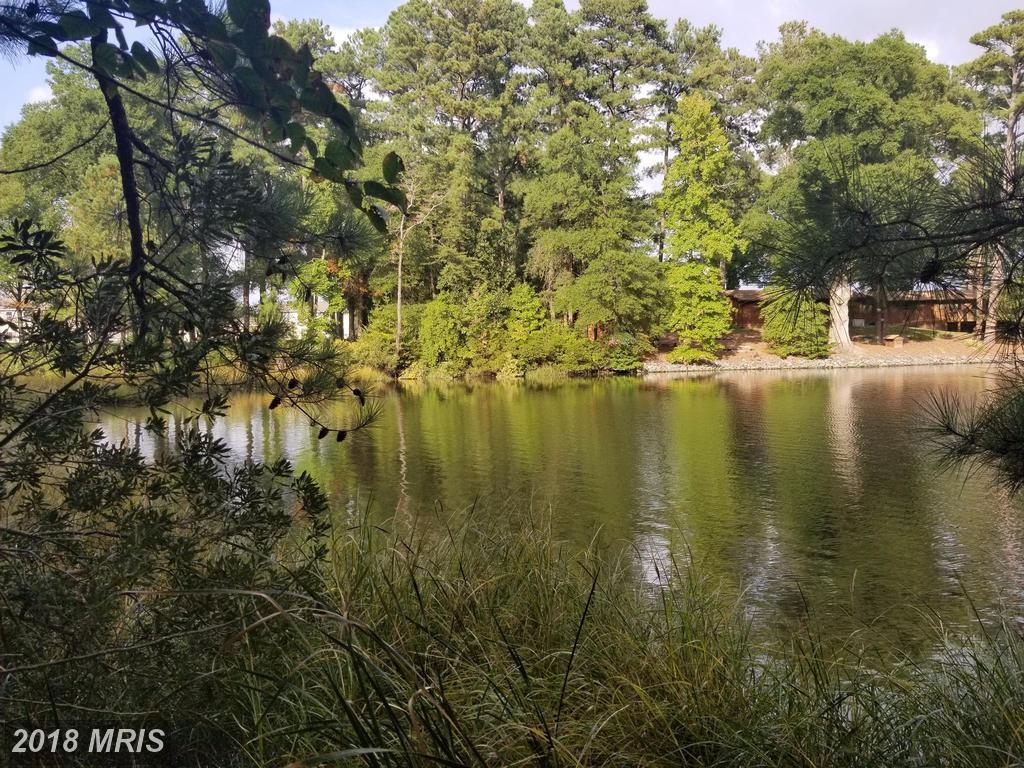 Duck Point Circle - Photo 1