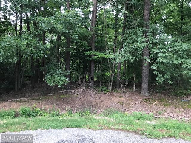 Lots 38/39 Cavalry Drive - Photo 1
