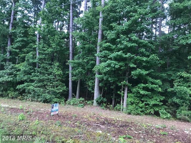Lot #4 Woodberry Drive - Photo 1