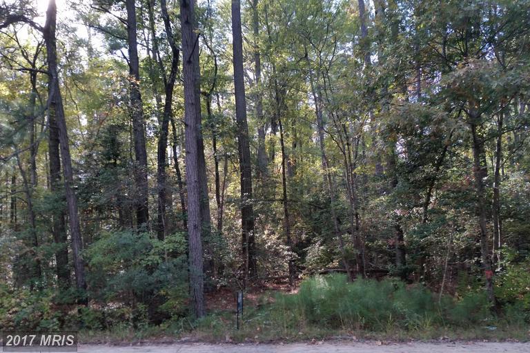 Wildwood - Photo 1
