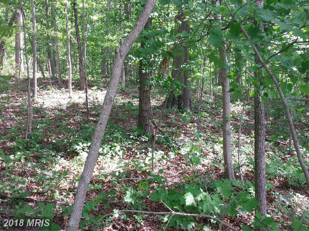 Rock Ridge Road - Photo 1