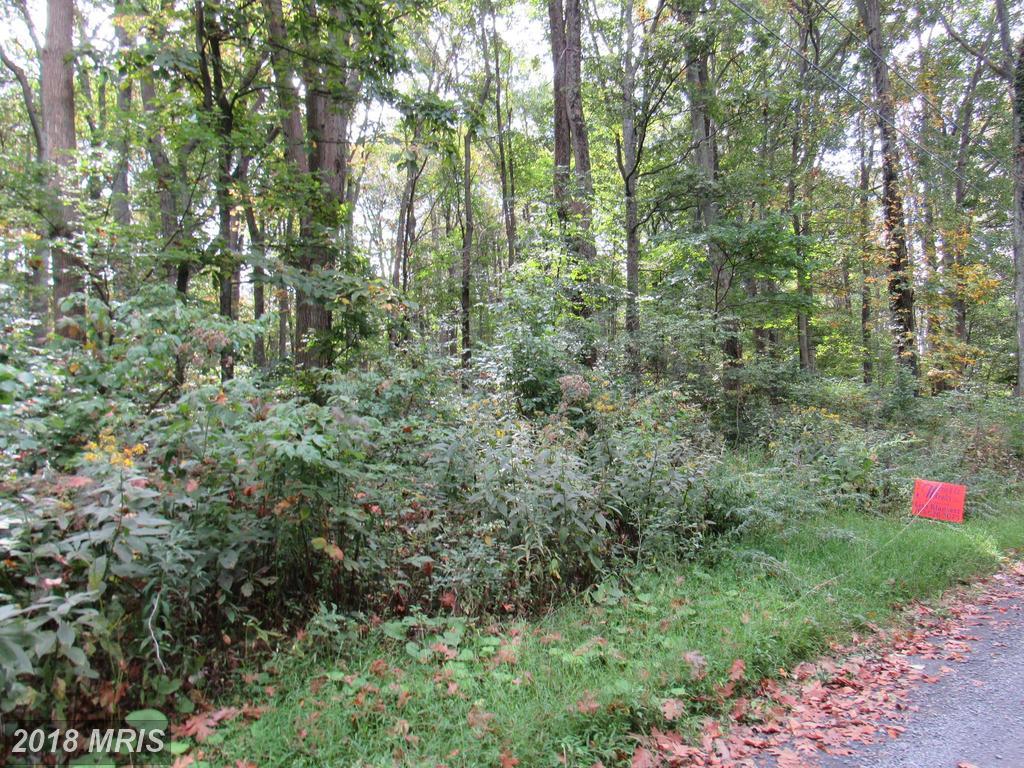 Lot 12 Hightop - Photo 1